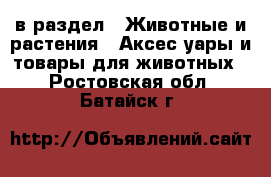  в раздел : Животные и растения » Аксесcуары и товары для животных . Ростовская обл.,Батайск г.